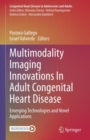 Multimodality Imaging Innovations In Adult Congenital Heart Disease : Emerging Technologies and Novel Applications - Book