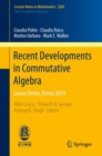 Recent Developments in Commutative Algebra : Levico Terme, Trento 2019 - Book