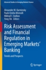 Risk Assessment and Financial Regulation in Emerging Markets' Banking : Trends and Prospects - Book