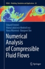 Numerical Analysis of Compressible Fluid Flows - Book
