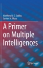 A Primer on Multiple Intelligences - Book