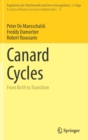 Canard Cycles : From Birth to Transition - Book