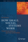 How Small Social Systems Work : From Soccer Teams to Jazz Trios and Families - Book