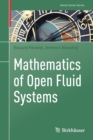 Mathematics of Open Fluid Systems - Book