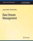 Data Stream Management - eBook