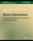 Waves in Biomechanics : THz Vibrations and Modal Analysis in Proteins and Macromolecular Structures - eBook