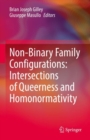 Non-Binary Family Configurations: Intersections of Queerness and Homonormativity - Book