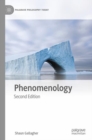 Phenomenology - Book