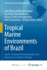 Tropical Marine Environments of Brazil : Spatio-Temporal Heterogeneities and Responses to Climate Changes - Book