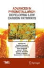 Advances in Pyrometallurgy : Developing Low Carbon Pathways - Book