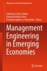 Management Engineering in Emerging Economies - Book