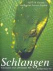 Schlangen : Faszination einer unbekannten Welt - Book