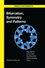 Bifurcation, Symmetry and Patterns - eBook