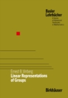 Linear Representations of Groups - eBook