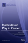 Molecules at Play in Cancer - Book