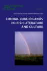 Liminal Borderlands in Irish Literature and Culture - Book