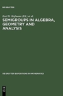 Semigroups in Algebra, Geometry and Analysis - Book
