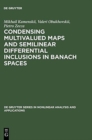 Condensing Multivalued Maps and Semilinear Differential Inclusions in Banach Spaces - Book