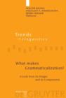 What makes Grammaticalization? : A Look from its Fringes and its Components - Book