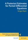 A Posteriori Estimates for Partial Differential Equations - eBook