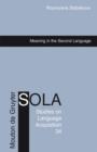 Meaning in the Second Language - eBook