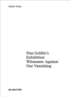 Art about AIDS : Nan Goldin's Exhibition Witnesses: Against Our Vanishing - eBook