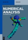 Numerical Analysis : An Introduction - Book
