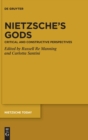 Nietzsche's Gods : Critical and Constructive Perspectives - Book