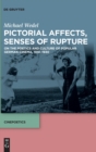 Pictorial Affects, Senses of Rupture : On the Poetics and Culture of Popular German Cinema, 1910-1930 - Book