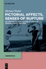 Pictorial Affects, Senses of Rupture : On the Poetics and Culture of Popular German Cinema, 1910-1930 - eBook
