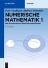 Numerische Mathematik 1 : Eine algorithmisch orientierte Einfuhrung - Book