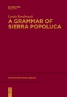 A Grammar of Sierra Popoluca - Book