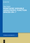 Pointwise Variable Anisotropic Function Spaces on Rn - eBook