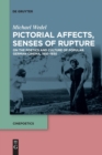 Pictorial Affects, Senses of Rupture : On the Poetics and Culture of Popular German Cinema, 1910-1930 - Book
