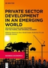 Private Sector Development in an Emerging World : Inclusive Policies and Strategies for the Formal and Informal Economy - Book