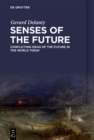 Senses of the Future : Conflicting Ideas of the Future in the World Today - Book