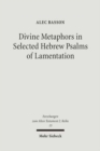 Divine Metaphors in Selected Hebrew Psalms of Lamentation - Book