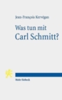 Was tun mit Carl Schmitt? - Book