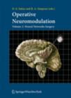 Operative Neuromodulation : Volume 2: Neural Networks Surgery - eBook