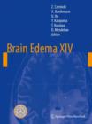 Brain Edema XIV - Book