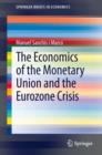 The Economics of the Monetary Union and the Eurozone Crisis - eBook