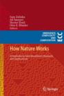 How Nature Works : Complexity in Interdisciplinary Research and Applications - eBook