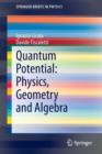 Quantum Potential: Physics, Geometry and Algebra - Book