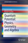 Quantum Potential: Physics, Geometry and Algebra - eBook