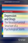 Depression and Drugs : The Neurobehavioral Structure of a Psychological Storm - eBook