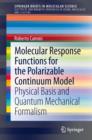 Molecular Response Functions for the Polarizable Continuum Model : Physical basis and quantum mechanical formalism - eBook