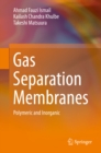 Gas Separation Membranes : Polymeric and Inorganic - eBook