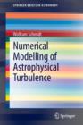 Numerical Modelling of Astrophysical Turbulence - Book