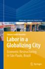Labor in a Globalizing City : Economic Restructuring in Sao Paulo, Brazil - eBook