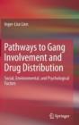 Pathways to Gang Involvement and Drug Distribution : Social, Environmental, and Psychological Factors - Book